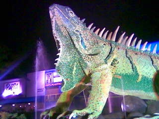 ¡Iguana gigante detiene el tráfico!