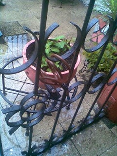 Pinche delincuencia!