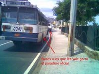 ¿Costumbre o ley del borrego?