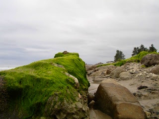 Intentos de fotografía