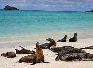 10 razones por las que los emprendedores deberían tomar más vacaciones